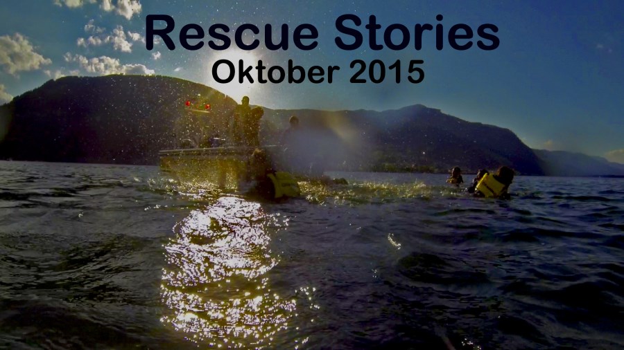 2015 rescue stories 1